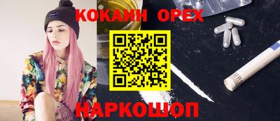 apvp Обь