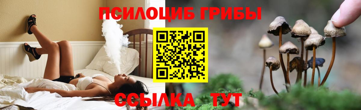 Галлюциногенные грибы Cubensis  Вход с VPN  Псилоцибиновые грибы ЛСД  Ачхой-Мартан 